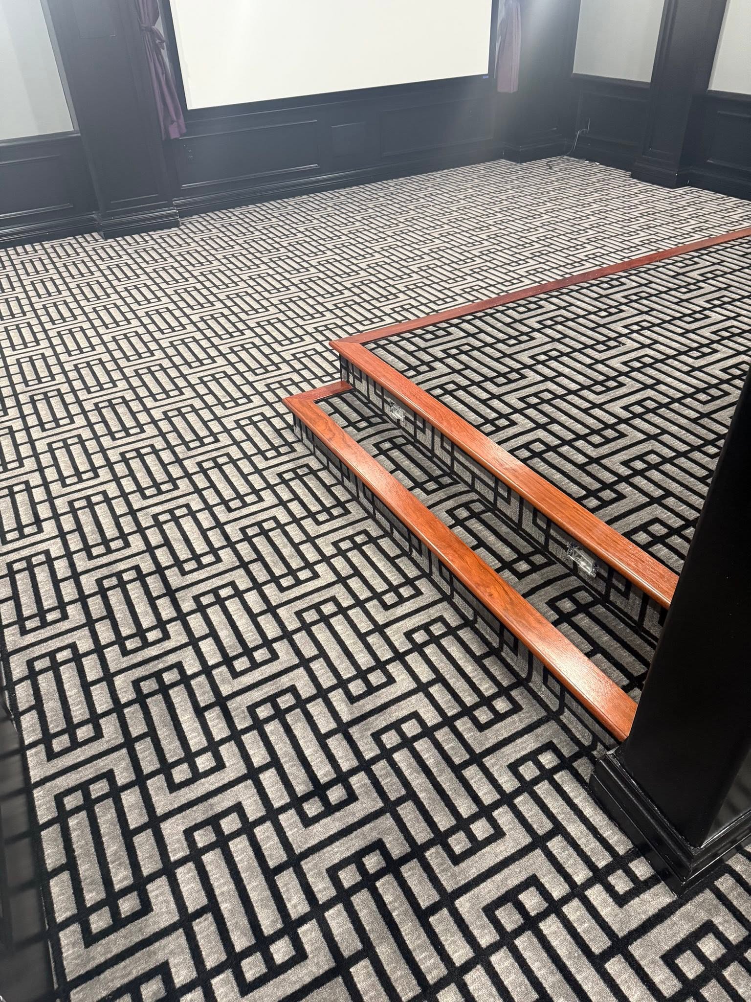Geometric black-and-white carpet on a step into a media room.