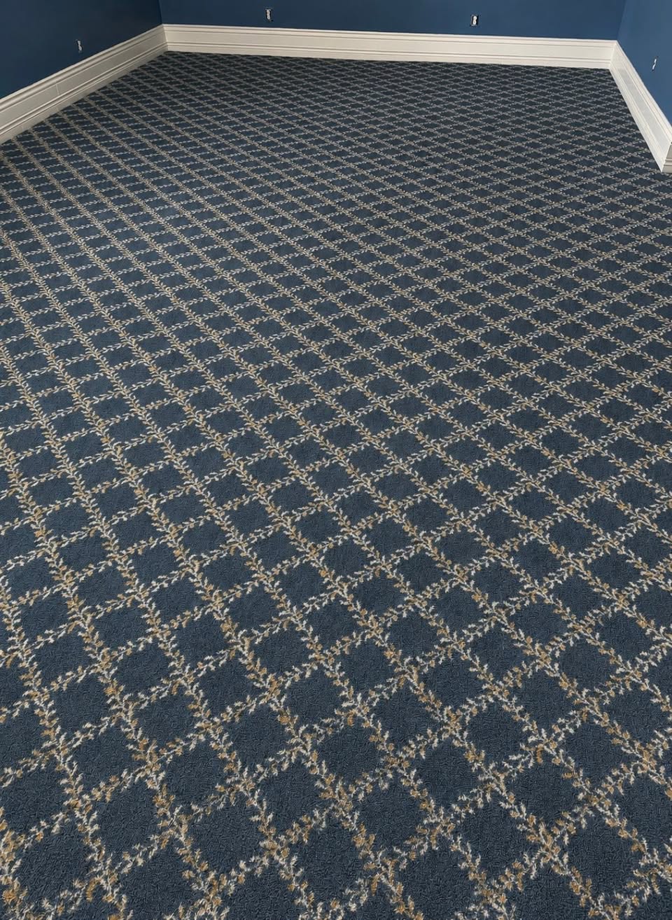 Blue diamond-patterned carpet in a living room.